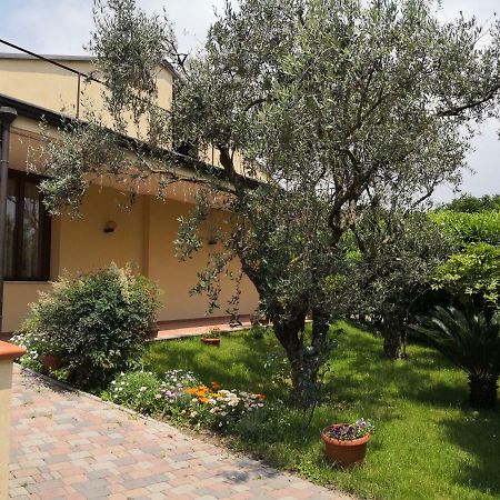 B&B D'Avino Pagani Exteriör bild