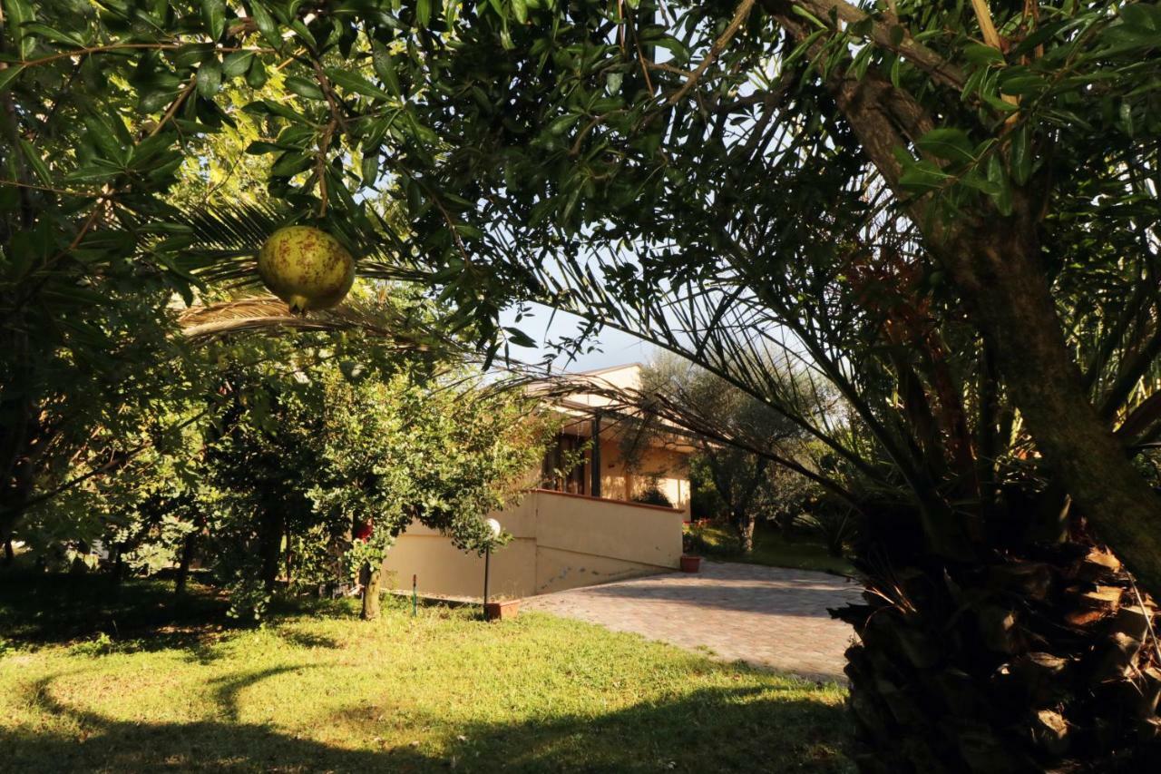 B&B D'Avino Pagani Exteriör bild
